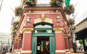 Molloys Apartments